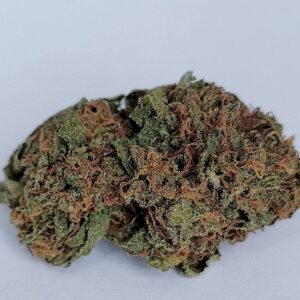 A blue cheese strain lying on white background.
