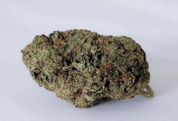 A strain of Gelato Cannabis placed on a white background