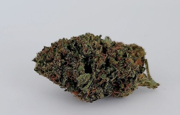 grease monkey strain placed on a white background