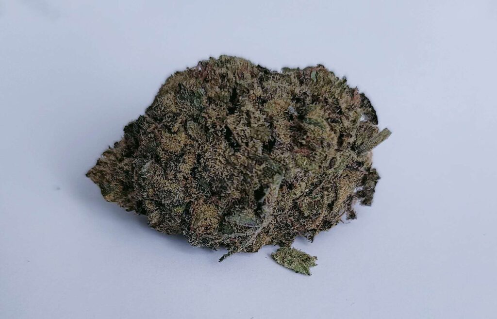 Granddaddy purple strain placed on a white background